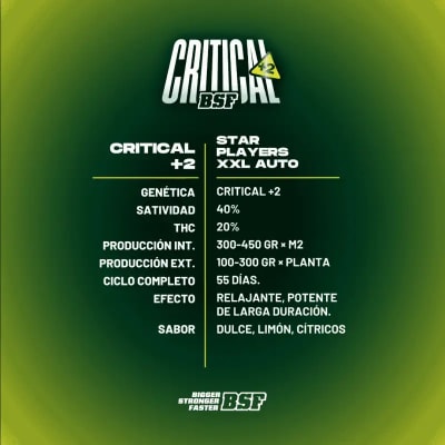 CRITICAL +2 XXL