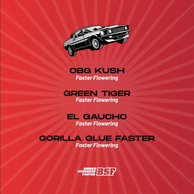 FASTMIX FASTER AND FURIOUS