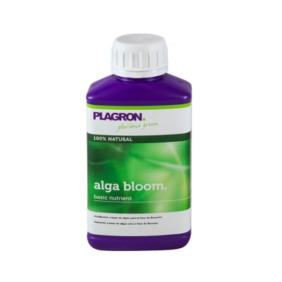 ALGA BLOOM PLAGRON
