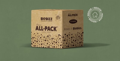 ALL PACK INDOOR 250ML