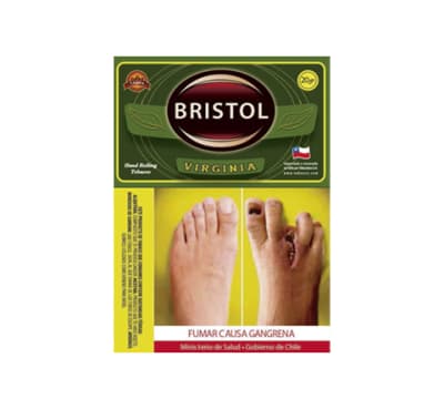 TABACO BRISTOL 20GRS