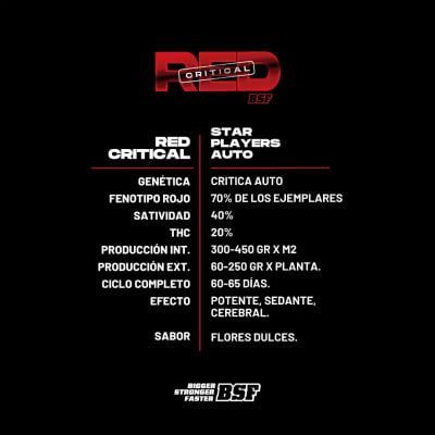 RED CRITICAL XXL