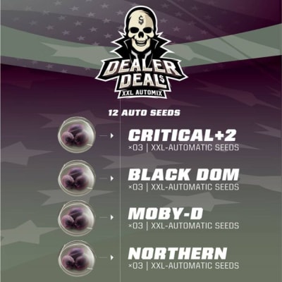 DEALER DEAL XXL 12 SEMILLAS