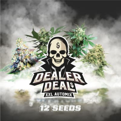 DEALER DEAL XXL 12 SEMILLAS