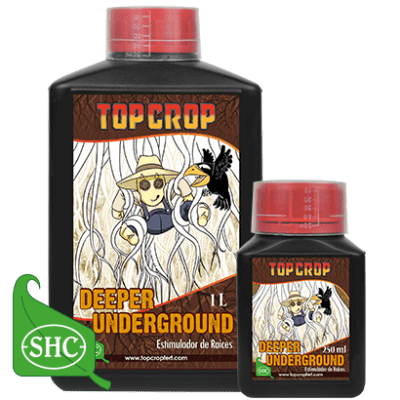 DEEPER UNDERGROUND  250 ML