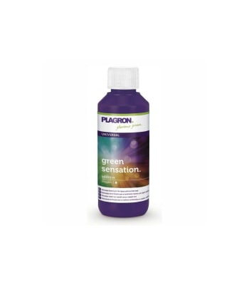 GREEN SENSATION PLAGRON