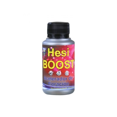 HESI BOOST