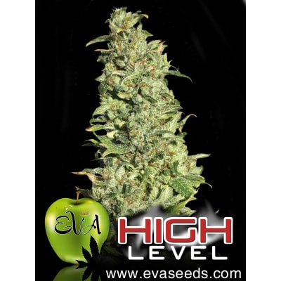 HIGH LEVEL 3 SEMILLAS