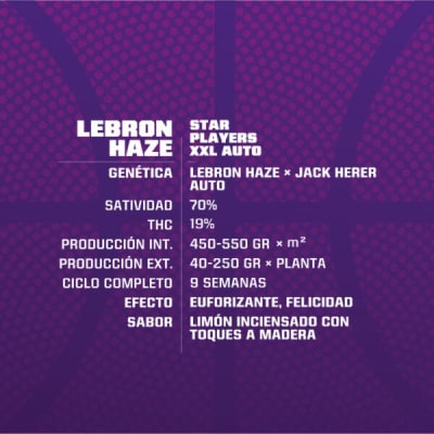 LEBRON HAZE XXL