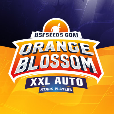 ORANGE BLOSSOM XXL