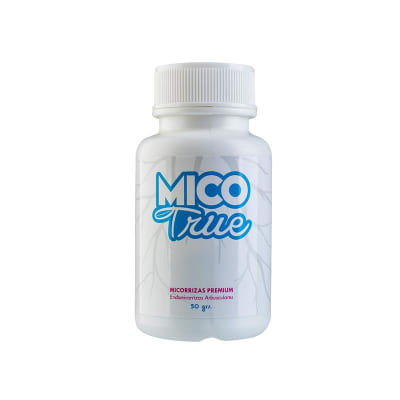 MICO TRUE