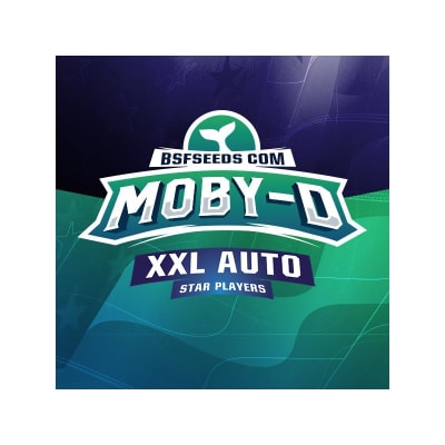 MOBY-D XXL