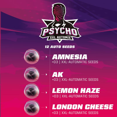 PSYCHO XXL 12 SEMILLAS
