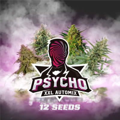 PSYCHO XXL 12 SEMILLAS