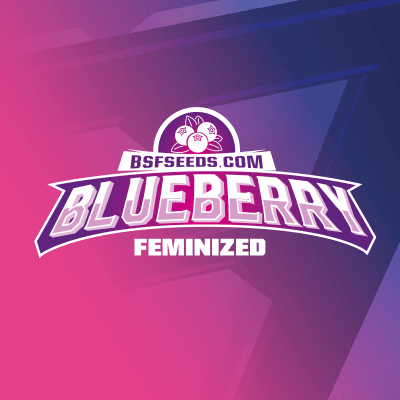 BLUEBERRY