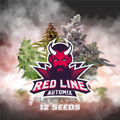 AUTOMIX RED LINE 12 SEMILLAS