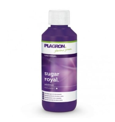 SUGAR ROYAL 100ML PLAGRON