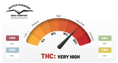 AUTO COLORADO COOKIES 3 SEMILLAS