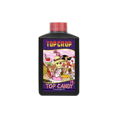 TOP CANDY TOP CROP