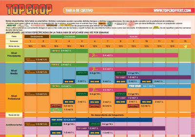 DEEPER UNDERGROUND TOP CROP 250 ML