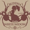 WHITE WIDOW CLASSIC 3 SEMILLAS2
