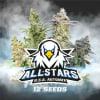 AUTOMIX ALLSTAR USA1