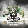 DEALER DEAL XXL 12 SEMILLAS2