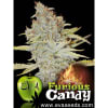 FURIOUS CANDY 3 SEMILLAS1