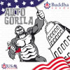BUDH AUTO GORILLA2