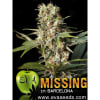 MISSING IN BARCELONA 3 SEMILLAS1