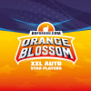 ORANGE BLOSSOM 2 SEMILLAS1