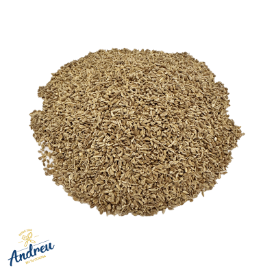 ANÍS SEMILLA (25K) X 100 GR