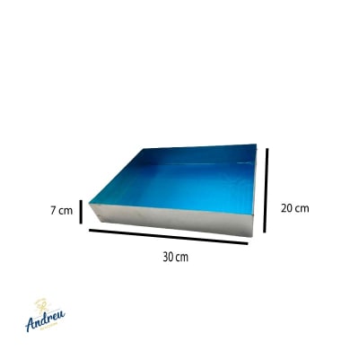 MOLDE RECTANGULAR BIZCOCHO 20X30X71