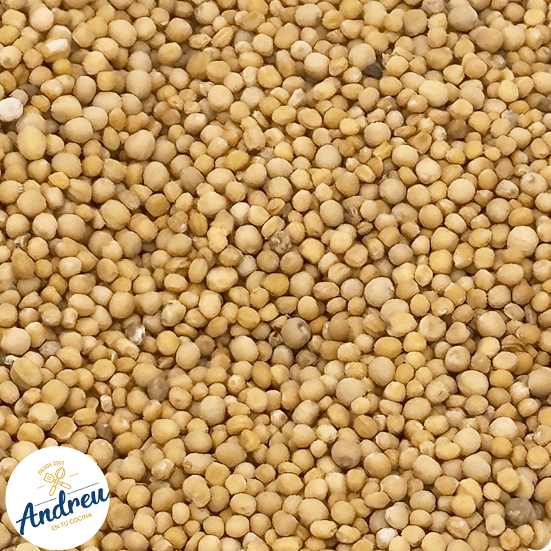 SEMILLA MOSTAZA AMARILLA ENTERA 1 KILO (CAN-AC AMARILLA) (25) X 1 UNID2
