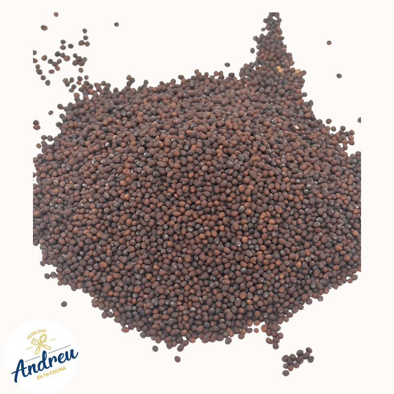 SEMILLA MOSTAZA NEGRA ENTERA 1 KILO (CAN-ALL NEGRA) (25)  X 1 UNID 0