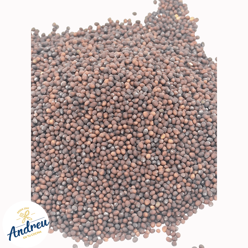 SEMILLA MOSTAZA NEGRA ENTERA 1 KILO (CAN-ALL NEGRA) (25)  X 1 UNID3