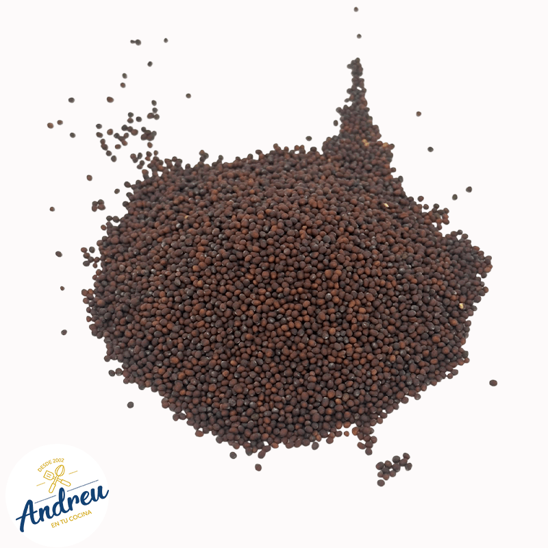 SEMILLA MOSTAZA NEGRA ENTERA 1 KILO (CAN-ALL NEGRA) (25)  X 1 UNID4