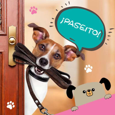 Correas para perros Correas para perros