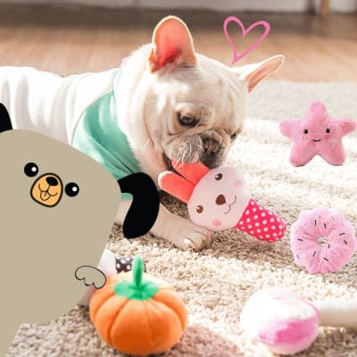 Juguetes y accesorios para perros Juguetes y accesorios para perros