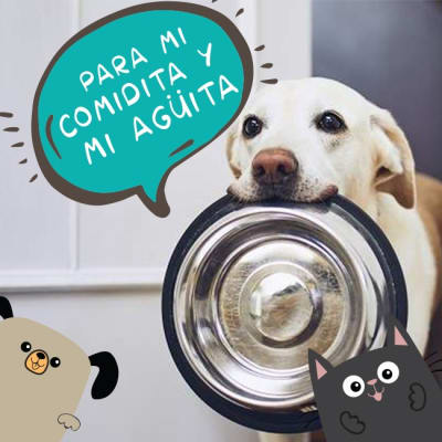 Platos y bebederos Platos y bebederos
