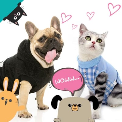Ropa para perros, gatos y conejos Ropa para perros, gatos y conejos