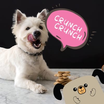 Snacks y Carnazas perros Snacks y Carnazas perros