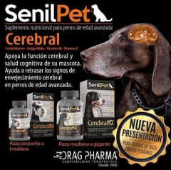 SENILPET CEREBRAL 20 - Perros de razas medianas/grandes - Frasco x 30 comprimidos SENILPET CEREBRAL 20 - Perros de razas medianas/grandes - Frasco x 30 comprimidos