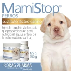 MAMISTOP PERROS Fórmula balanceada cachorros x 250 gr (100 ml) MAMISTOP PERROS Fórmula balanceada cachorros x 250 gr (100 ml)