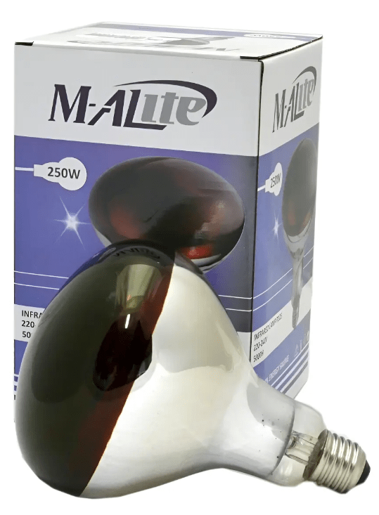 AMPOLLETA INFRAROJA 250W2