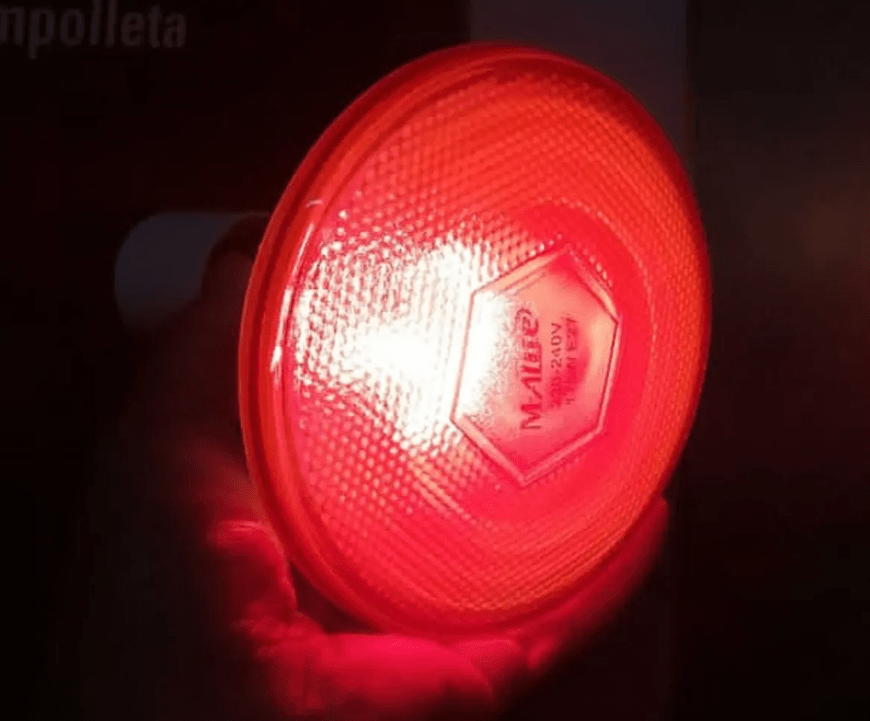 Ampolleta Luz Infrarroja Resistente Par38 175w Brinda Calor4