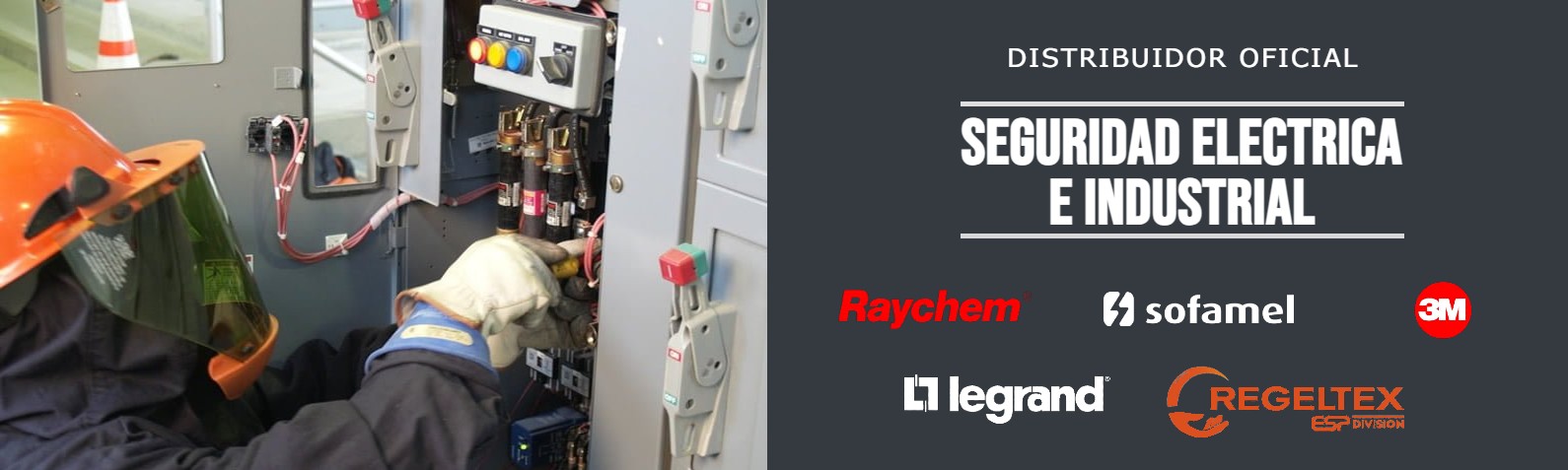 SEGURIDAD ELECTRICA E INDUSTRIAL