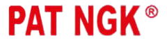 PATNGK