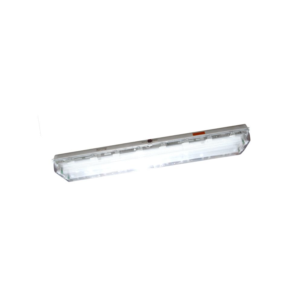 LUMINARIA P/AMBIENTES EXPLOSIVOS 2X36W IP66, ZONA 1,21 CZ0866/2X36W-1-B+D621/304 CZ-EX