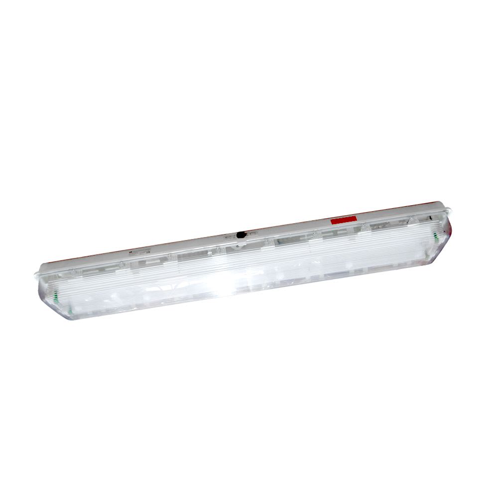 LUMINARIA P/AMBIENTES EXPLOSIVOS 2X36W IP66, ZONA 2,21 CZ0876/2X36W-1-B+D621/304 CZ-EX